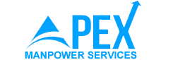Apex Manpower Services